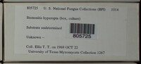 Image Associated With the Occurence